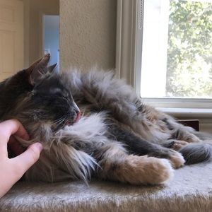 NOTICE OF LEAVE / WILL RETURN